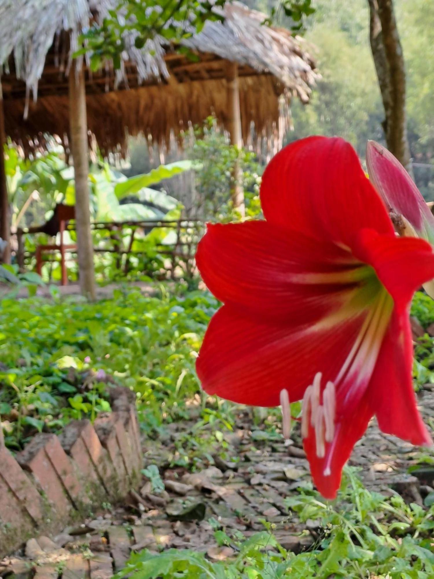 Muong Bi Homestay Hoa Binh Ngoại thất bức ảnh