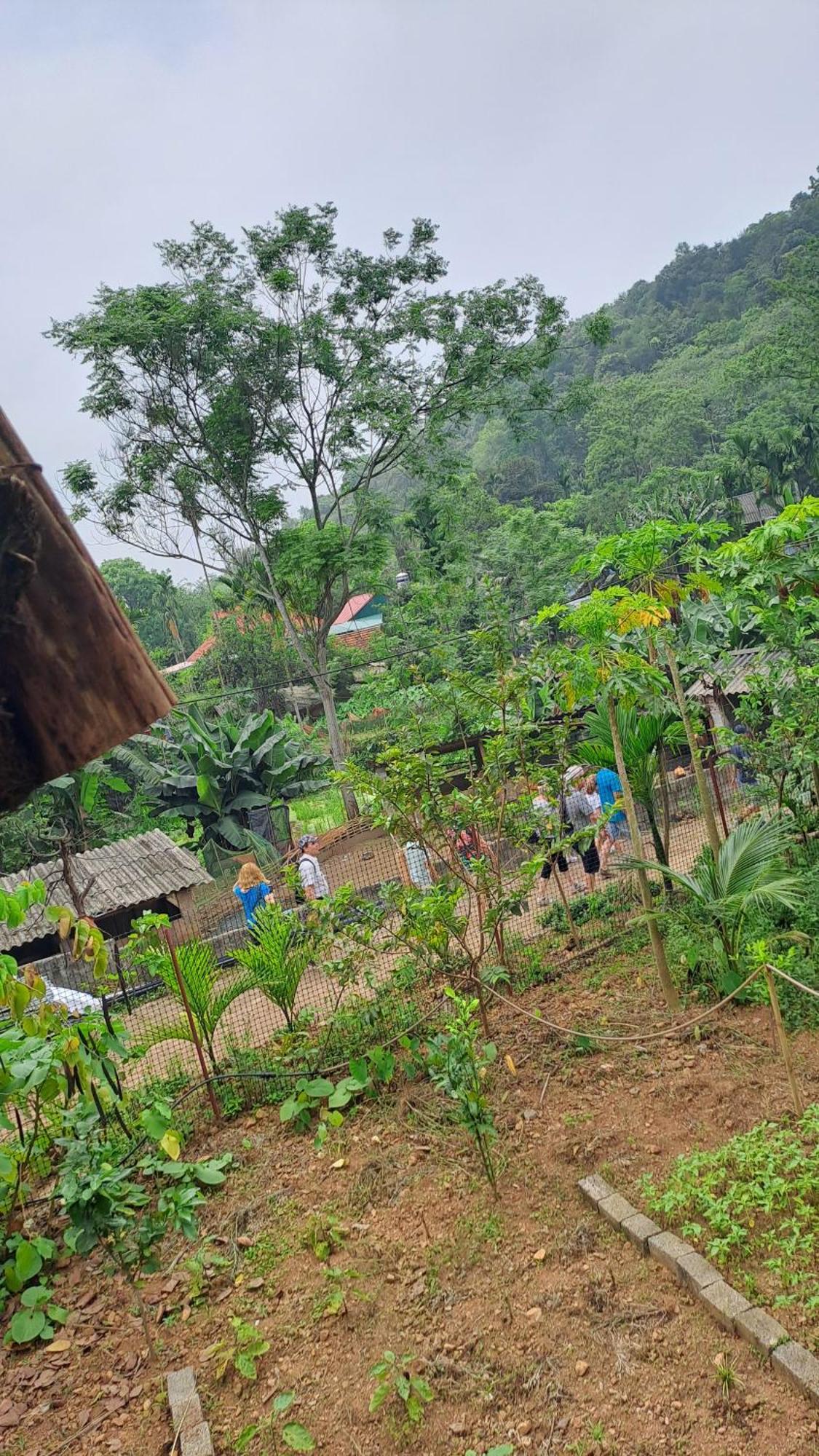 Muong Bi Homestay Hoa Binh Ngoại thất bức ảnh
