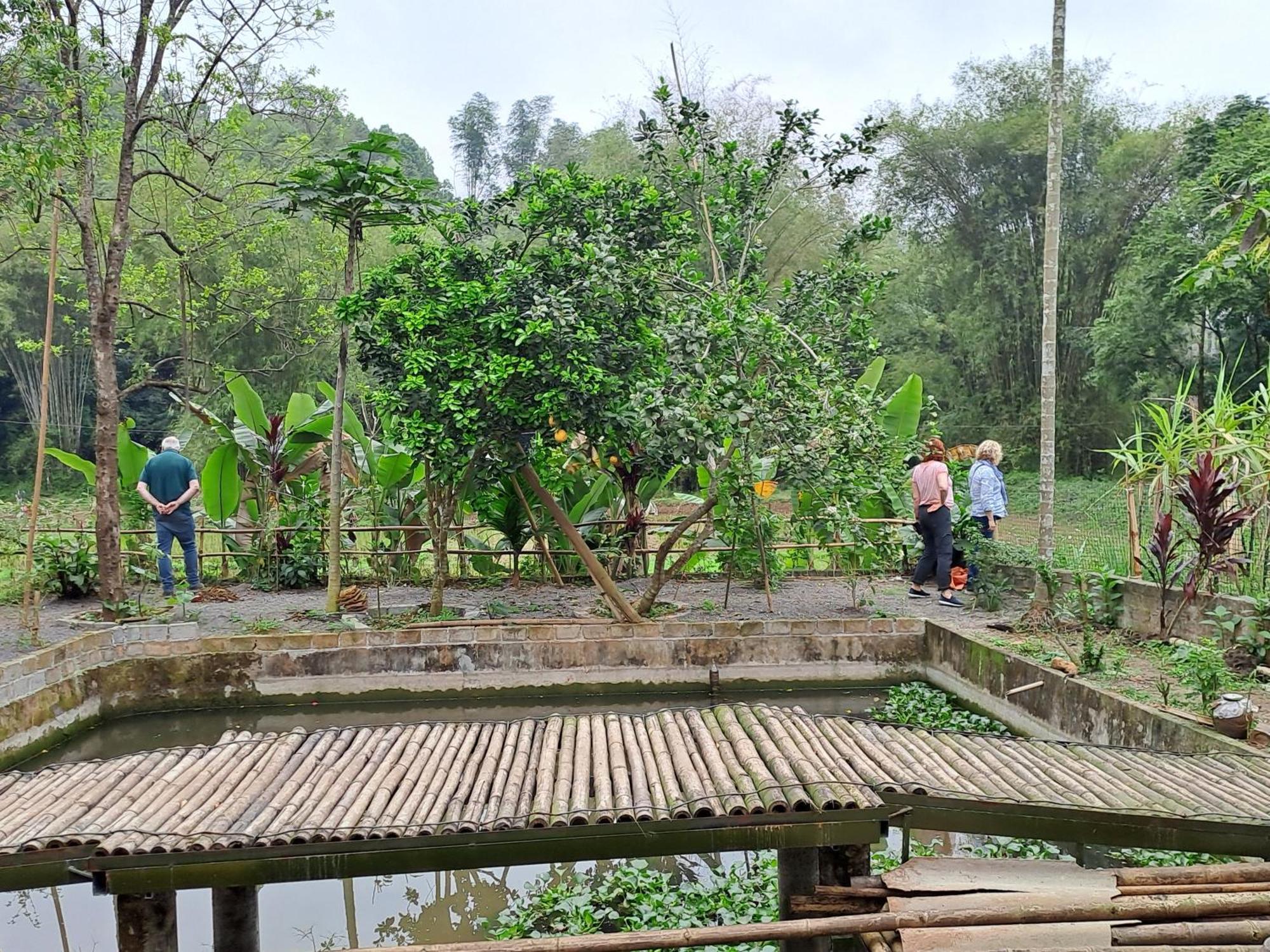 Muong Bi Homestay Hoa Binh Ngoại thất bức ảnh
